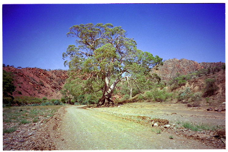 ブニェルー渓谷 / Bunyeroo Gorge