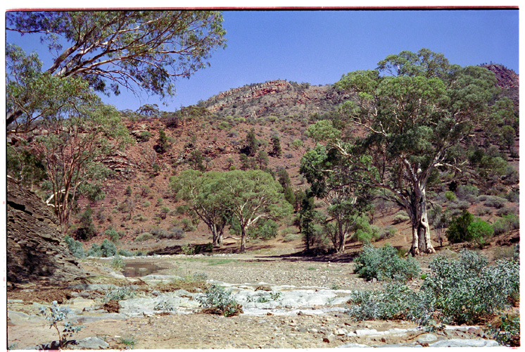 ブニェルー渓谷 / Bunyeroo Gorge