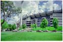 メルボルン クリケットグラウンド / Melbourne Cricket Ground