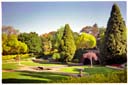 キングスドメイン（パイオニアウーマンズ メモリアルガーデン） / Kings Domain (Pioneer Womans Memorial Gardens)