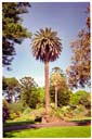 王立植物園 / Rayal Botanic Gardens
