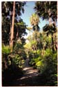 王立植物園 / Rayal Botanic Gardens