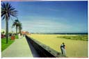 ポートメルボルンビーチ / Port Melbourne Beach