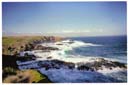 フィリップアイランド（ポイントグラント）/ Phillip Island (Penguin Parade)