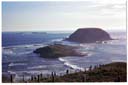 フィリップアイランド（ザ・ノビーズ）/ Phillip Island ()