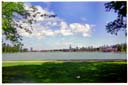 アルバートパーク / Aalbert Park