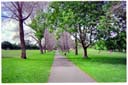 フォークナーパーク / Fawkner Park