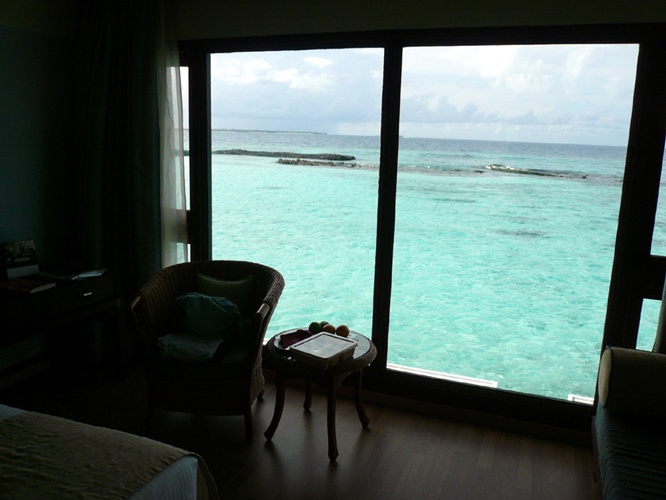 メインルームからの風景 / View from Main Room 