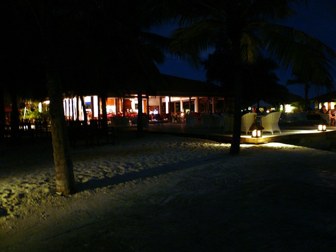 リーフバー / Reef Bar