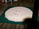 やどかりレース / Hermit Crab Race
